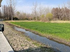 -溱湖国家湿地公园