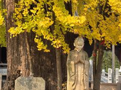 -峨眉山报国寺