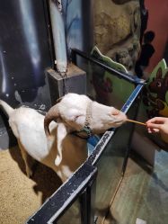 -酷嗒动物文化乐园(cutezoo西溪乐天城店)