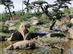 -罗红摄影艺术馆