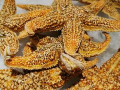 -雄楚国际大酒店-四季西餐厅