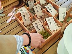 -蜜野MatYe城市营地·团建年会·亲子派对