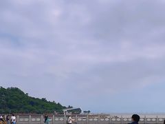 -野狸岛