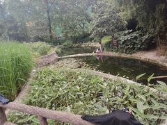 -成都市活水公园