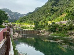 -王莽岭风景区