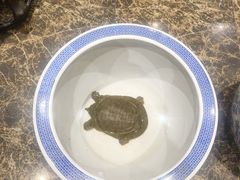 -沔阳会馆(沔街店)