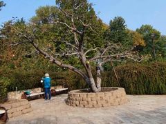 -元大都城垣遗址公园