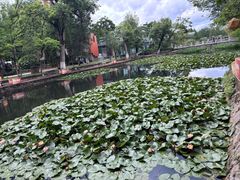 -庾园