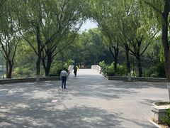 -大兴滨河森林公园