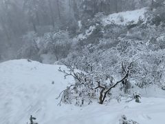 -瓦屋山景区