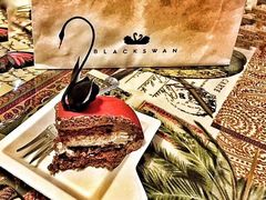 -BLACKSWAN黑天鹅(环球店)
