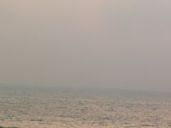 -坛南湾阿强农家乐.海鲜大排档老字号(福州地标美食店)