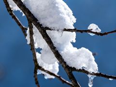 -洛阳白云山景区