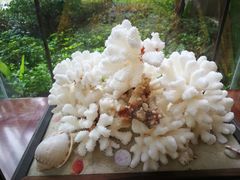 -惠州金海湾嘉华度假酒店