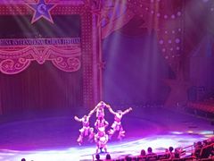 -珠海横琴长隆《卡卡虎奇遇记》