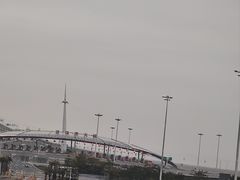 -港珠澳大桥(珠海段)