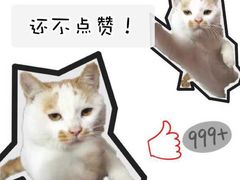 -武汉华夏国际影城(鲁广店)