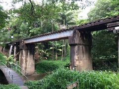 -热带雨林自然公园