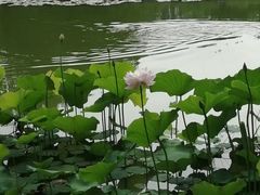 -西安市长乐公园