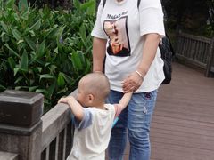 -枫香湖儿童公园