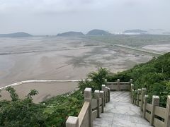 -洋山深水港