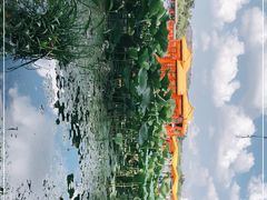 -长春市南湖公园