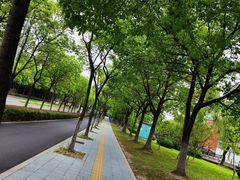 -美兰湖景区