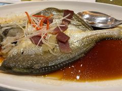 -上海新锦江大酒店