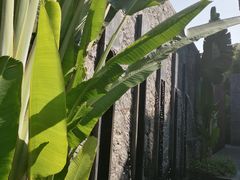 -广州都喜泰丽温泉度假酒店