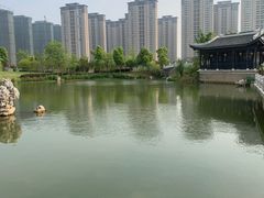 -天屿湖