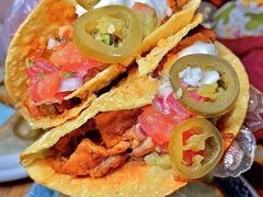 -Famous肥猫墨西哥音乐餐吧(五棵松华熙LIVE店)