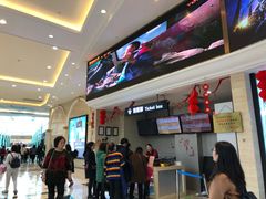 -AMG海上明珠影城(上海环球港RealDCinema店)