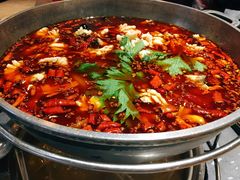 -重庆乌鱼庄·龙滋鲜(青羊大道店)