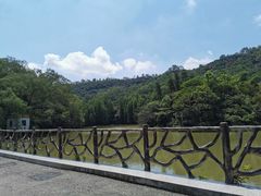-滴水岩森林公园