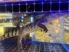 -川骄海鲜自助(河东店)