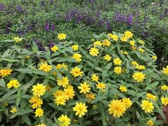 -艾溪湖湿地公园