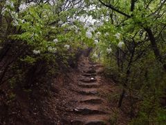 -云峰山自然风景区