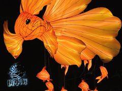 -岭南站NOVA