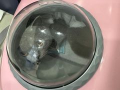 -拜鲁耶动物诊疗中心·宠家动物医院