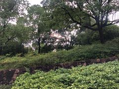 -美丽洲堂
