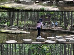 -洛阳白云山景区