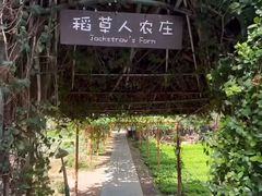 -三亚亚龙湾红树林度假酒店