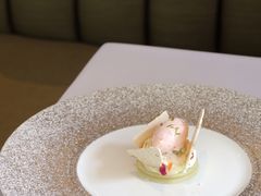 -蝶舍·MAISON PAPILLON