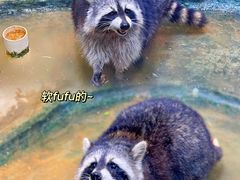-正佳雨林生态植物园