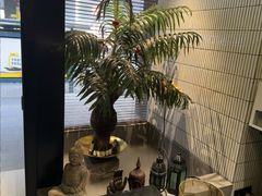 -涟LIAN·泰式按摩·MASSAGE·SPA(华强北店)
