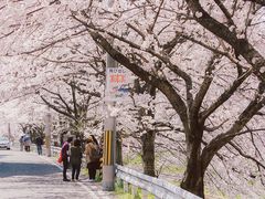 -四川大学(望江校区)