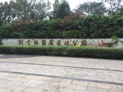 -重庆彩云湖湿地公园