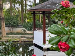 -深圳国际园林花卉博览园