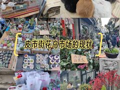 -苏州市皮市街花鸟工艺品市场