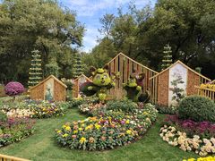 -上海共青森林公园